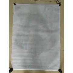 制作马尔代夫护照扫描件